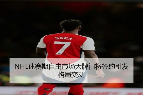 NHL休赛期自由市场大牌门将签约引发格局变动