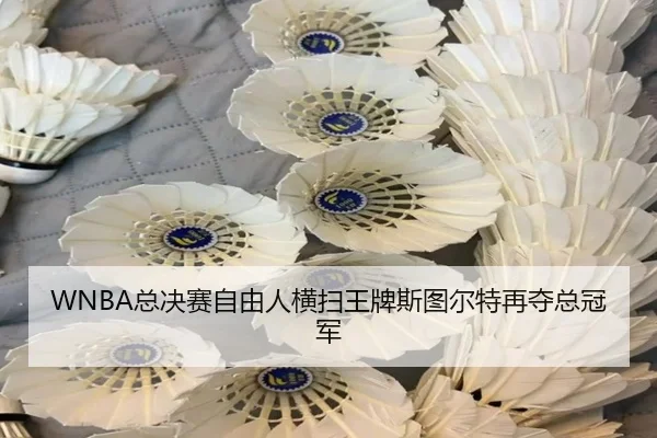 WNBA总决赛自由人横扫王牌斯图尔特再夺总冠军